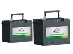 Batteries for lawn mowers Leoch
